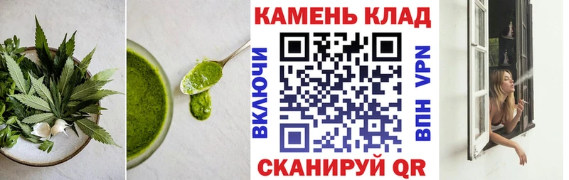 Купить где Олонец Cannafood конопля