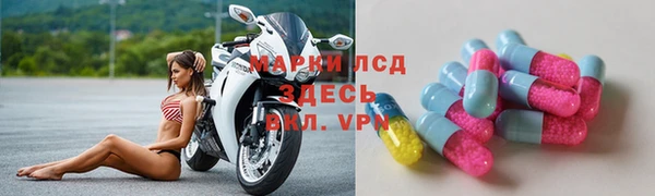сатива Богданович
