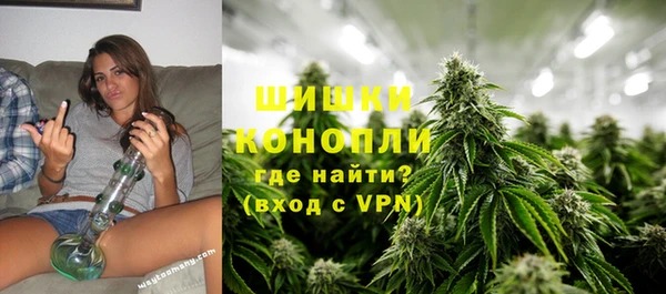 сатива Богданович