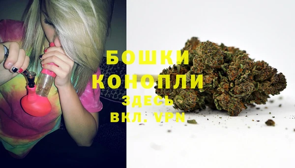 бошки Богородск