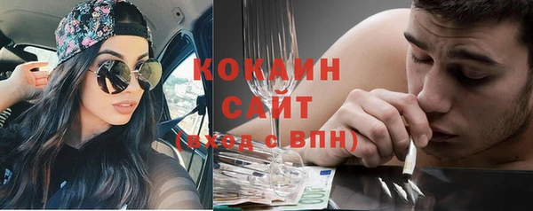 сатива Богданович