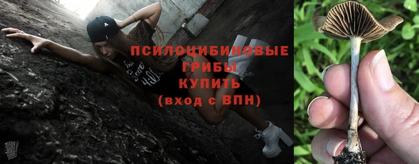 марки nbome Богородицк
