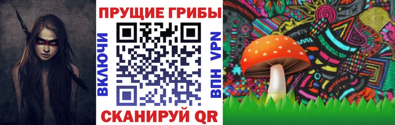 Купить где  Олонец  Псилоцибиновые грибы MAGIC MUSHROOMS 